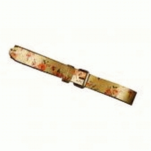 Cowboysbelt